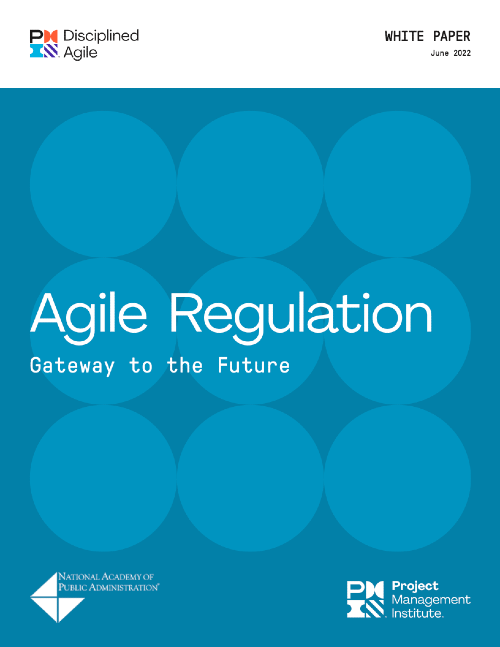 napa-agile-report-thumbnail.jpg
