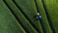 people in field