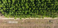 sustainability