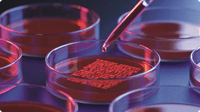 Petri Dish