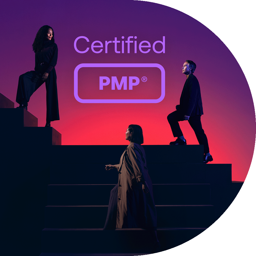 Project Professionals climbing stairs