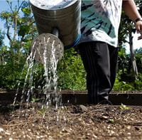 Creating-Resilient-Communities-pouring-watering-can