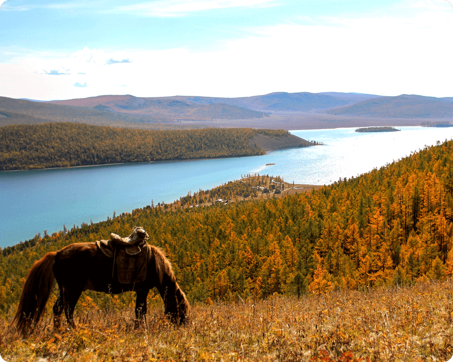 A horse grazing near a river in autumn