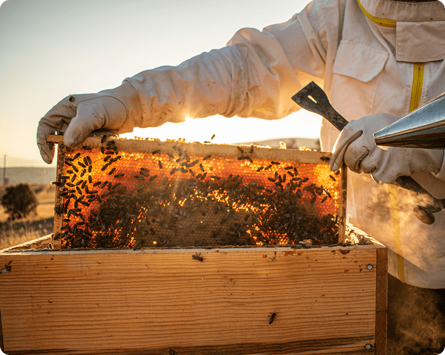 A beekeeper with a beehive