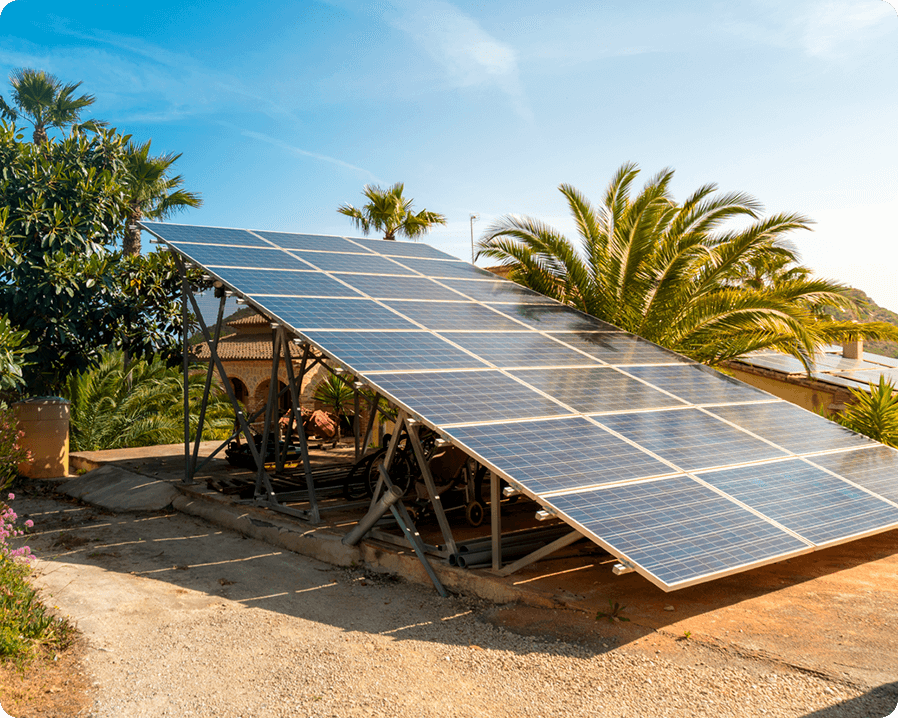 Image of solar panels surrounded by palm trees