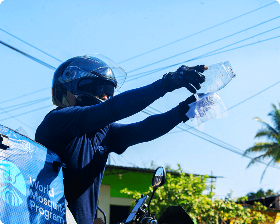 A man, all covered up, releasing mosquitoes