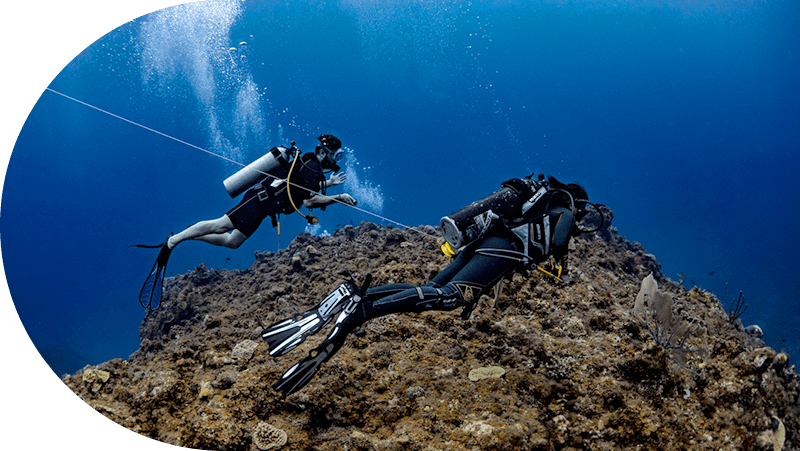 Testimonial Image Blue Natural Capital
