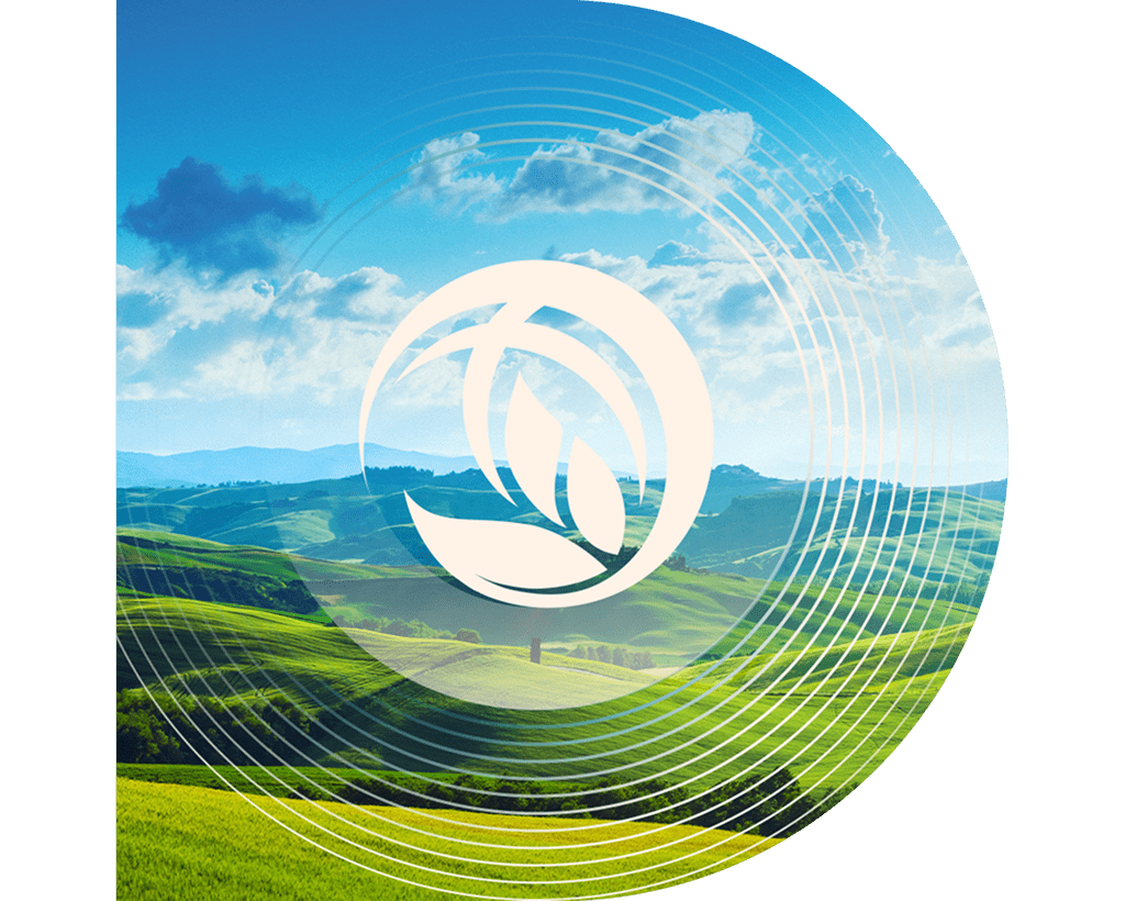 Get the skills and tools to lead sustainability projects
