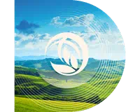 Get the skills and tools to lead sustainability projects