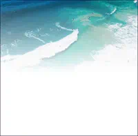 Making Waves Sustainable Projects Protecting Our Oceans