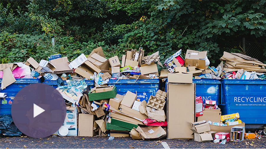 Coming Soon Rebecca Hu-Thrams recycling innovator
