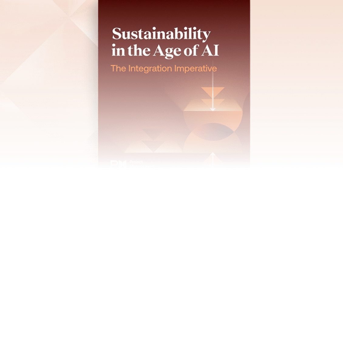 Sustainability in the Age of AI