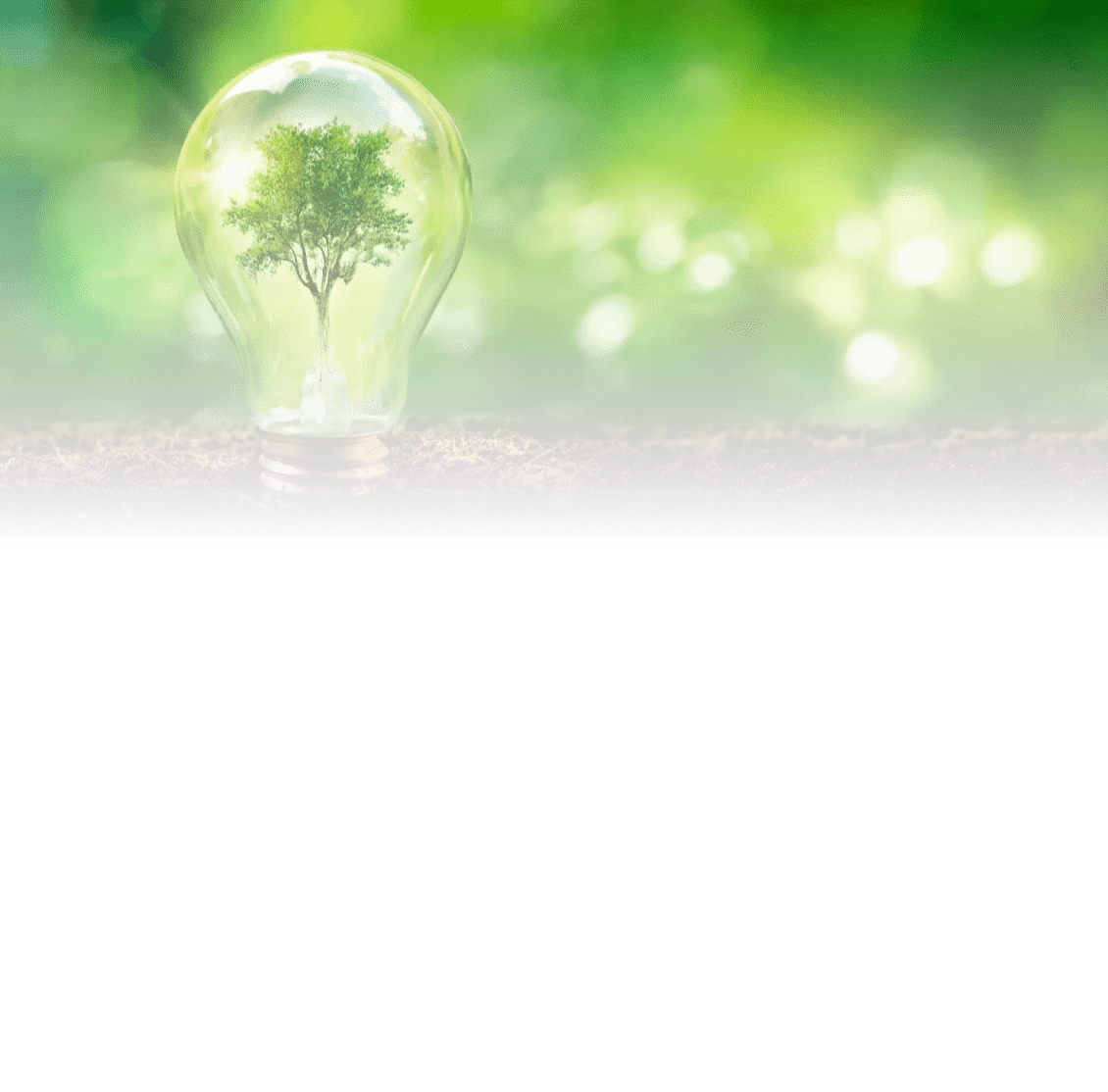 Sustainability or Innovation Why Not Both