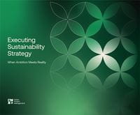 executing-sustainability-strategy-when-ambition-meets-reality