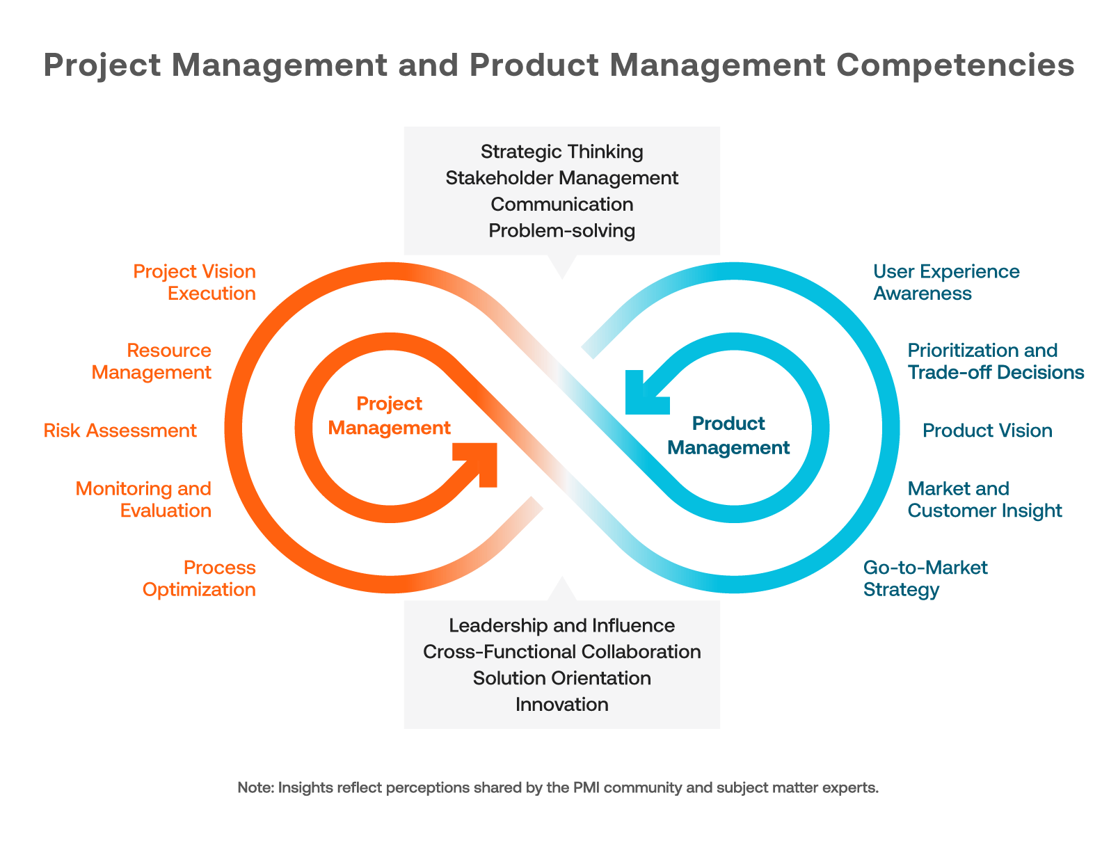 Product and Project Management Competencies