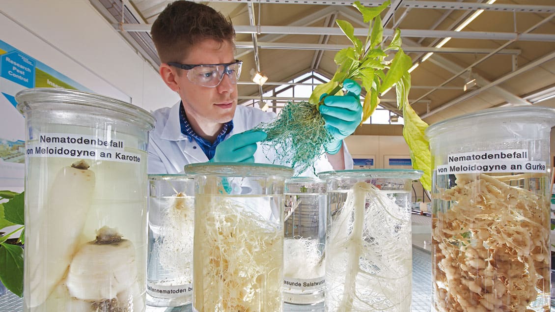 Scientists from Bayer are working on innovation image