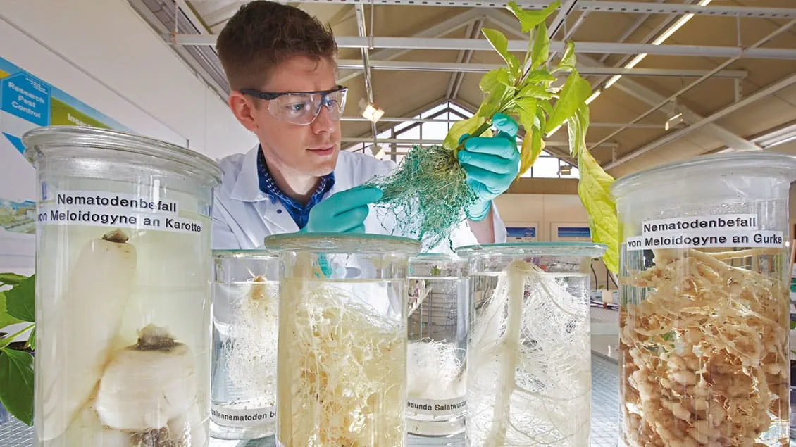 Scientists from Bayer are working on innovation image