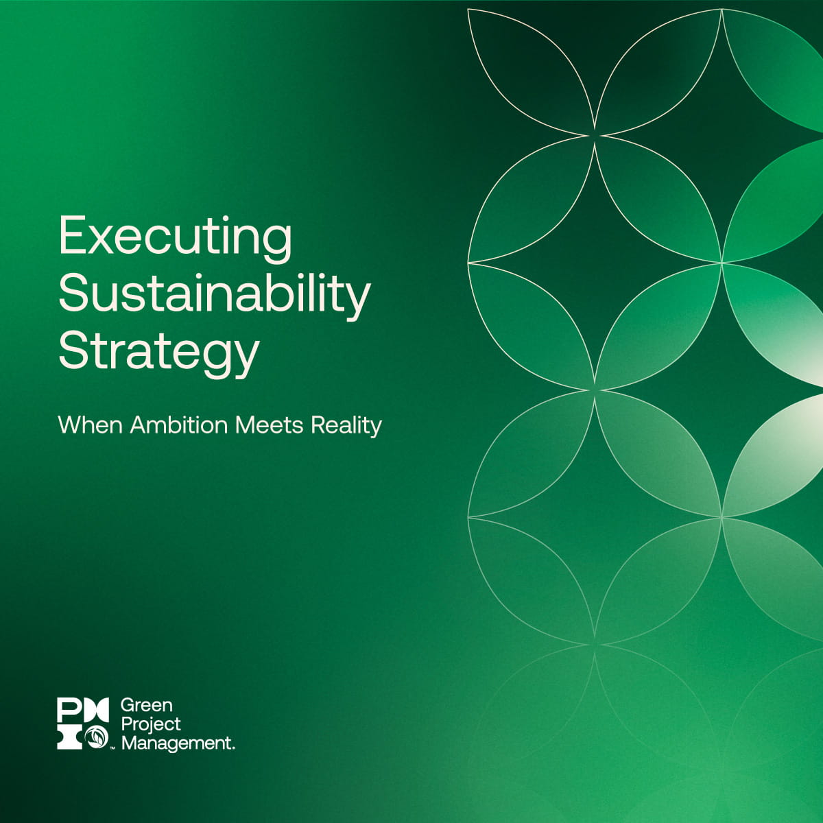 executing-sustainability-strategy-when-ambition-meets-reality