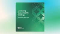 Cover of "Executing Sustainability Strategy"