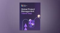Cover of "Global Project Management Gap"