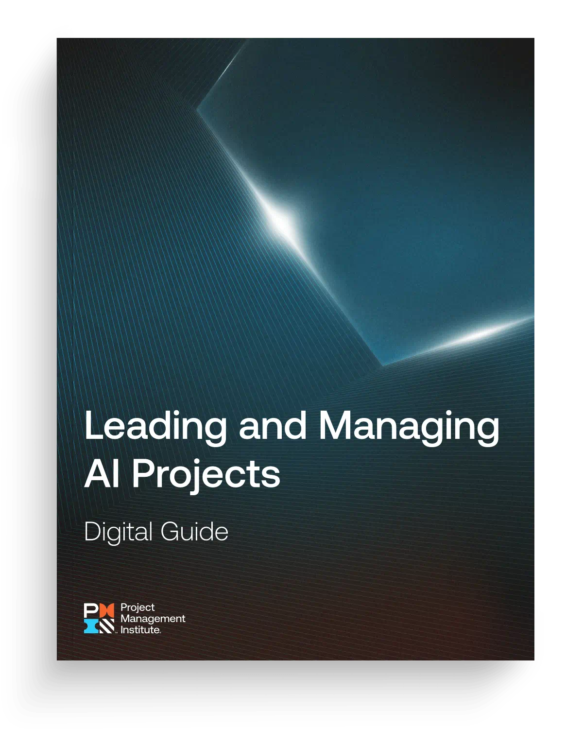 Leading and managing AI projects
