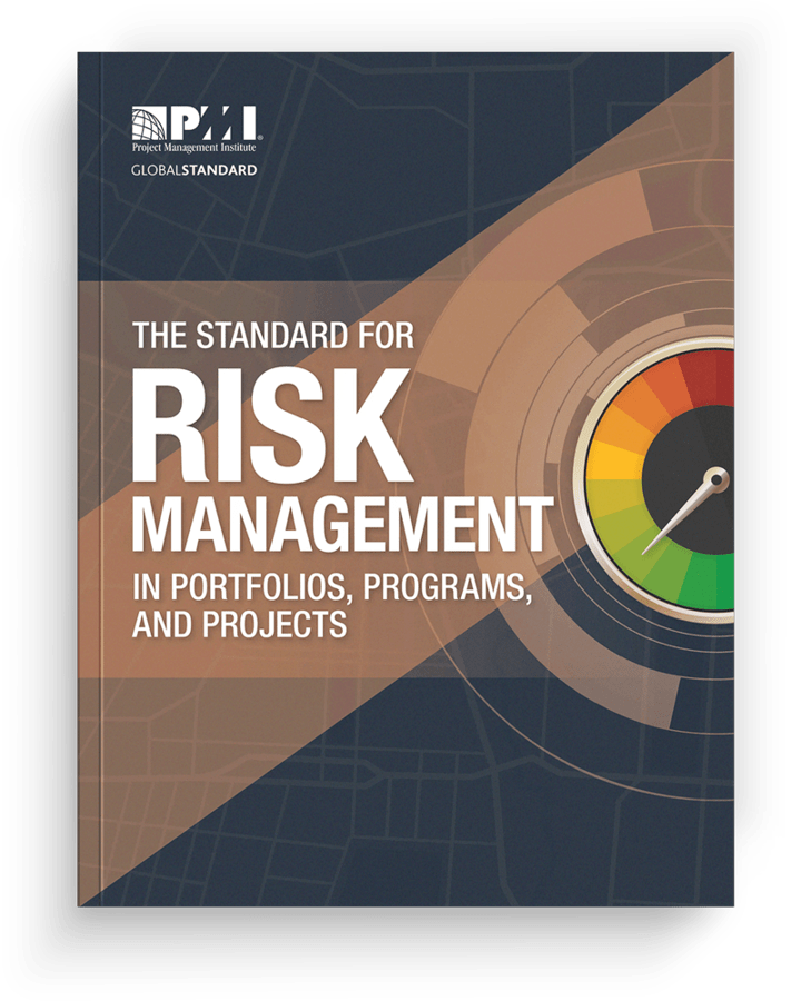 Risk Management Practice, Programs, and Projects