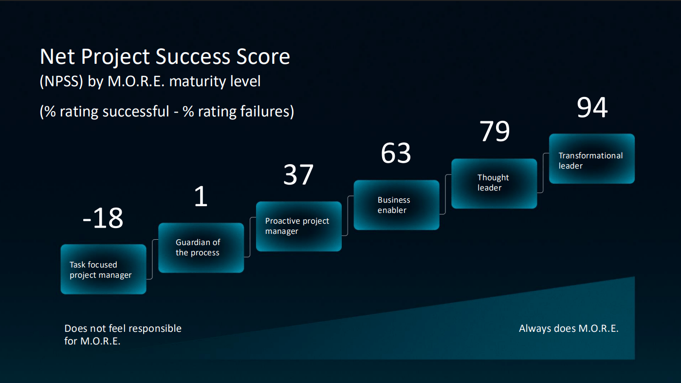 The Project Professional Maturity Model and associated NPSS levels.