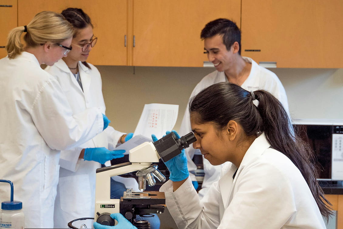 Researchers studying and analyzing data