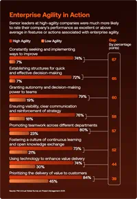 Enterprise Agility in Action