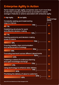 Enterprise Agility in Action