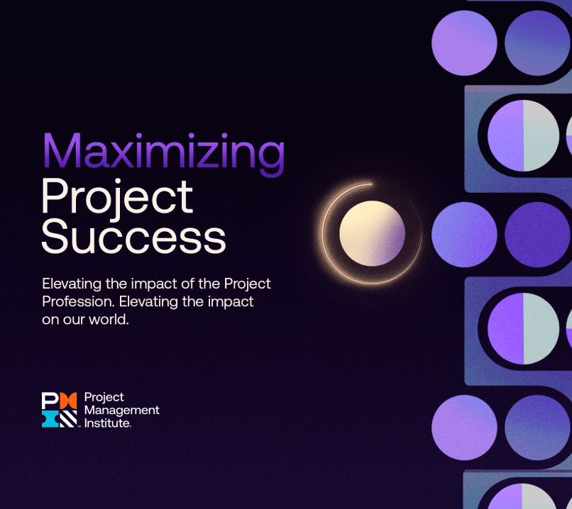 Maximizing Project Success