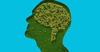 The Front Lines With a Sustainability Project Professional