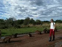 Woman walking