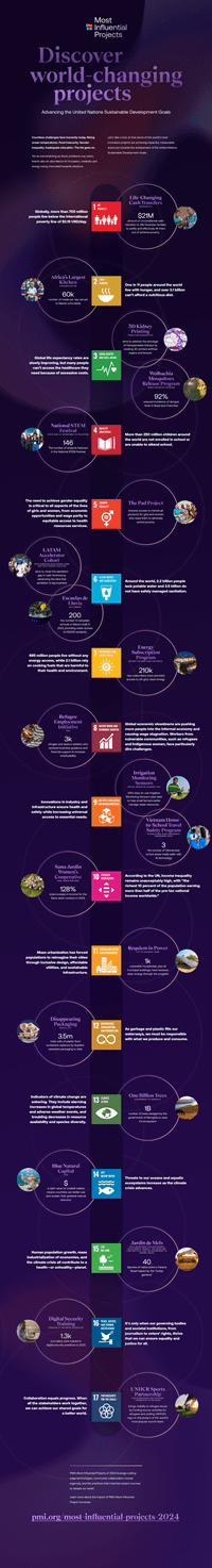 Projects Advancing UN SDGS 2024 Infographic
