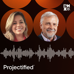 The Art of Project Management