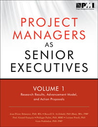 Project Managers as Senior Executives Volume IResearch Results Advancement Model and Action Proposal