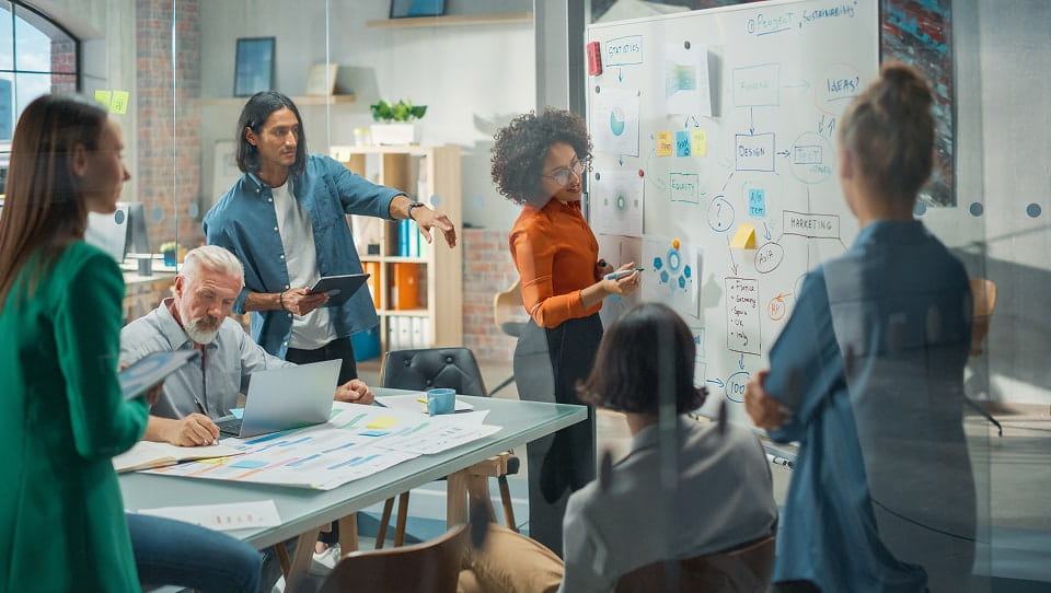 Agile project leaders