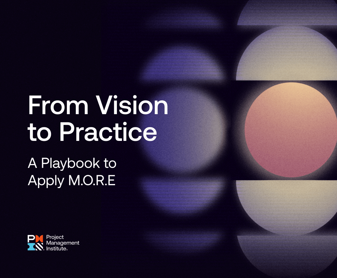 from-vision-to-practice-a-playbook-to-apply-MORE
