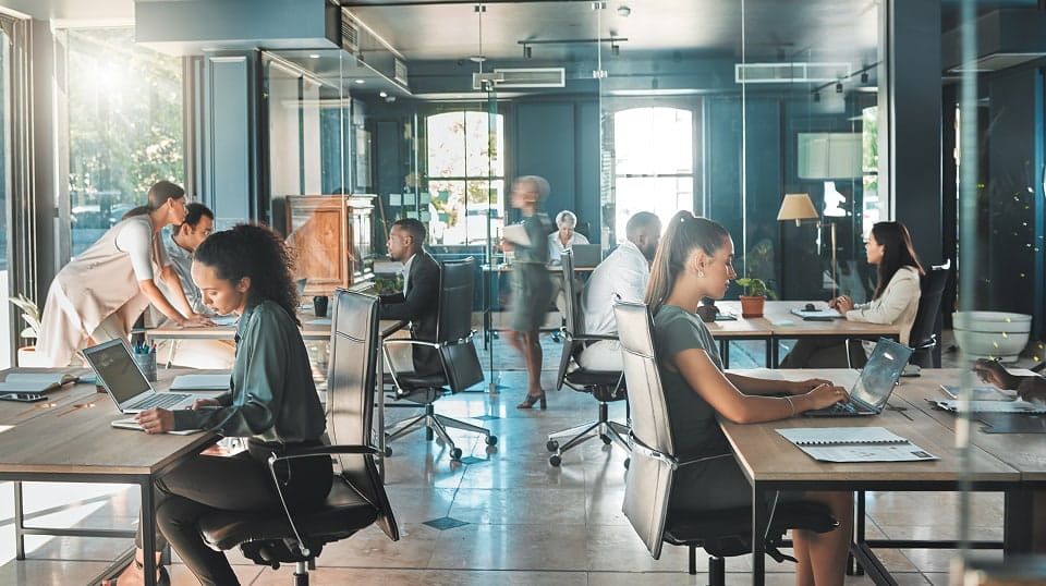 Focused project professionals working in a fast-paced PMO (Project Management Office).