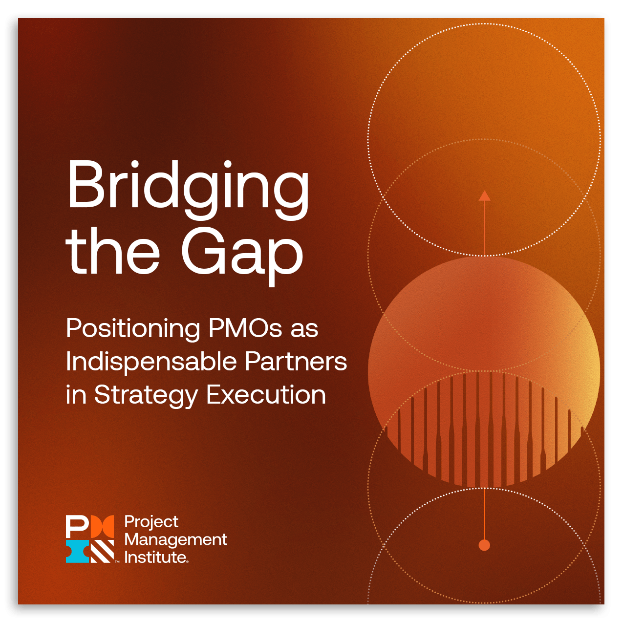 PMO Report