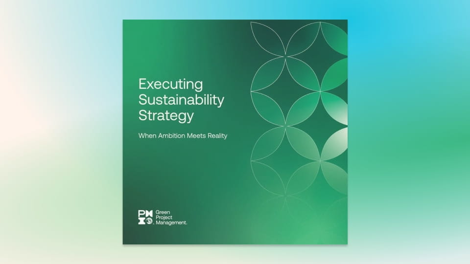 Cover of "Executing Sustainability Strategy"