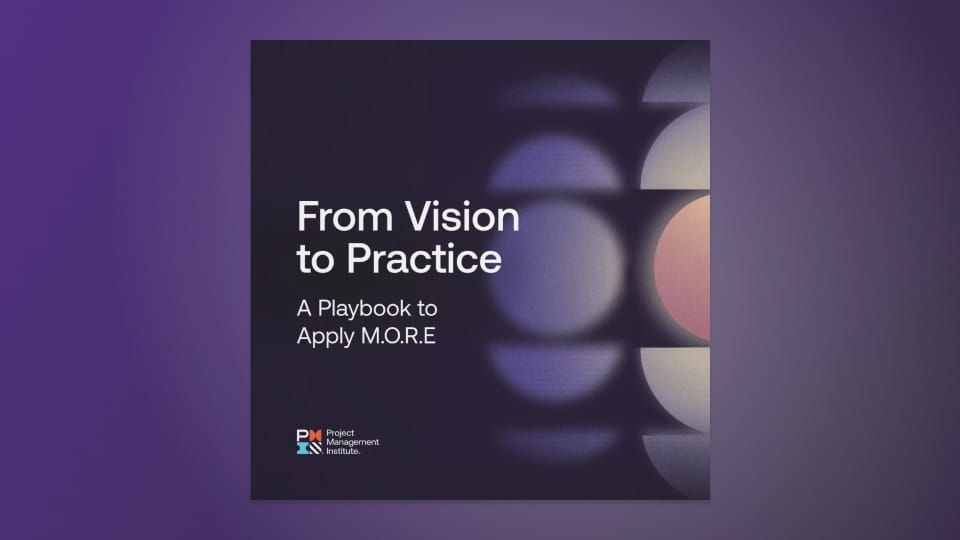 Cover of "From Vision to Practice"