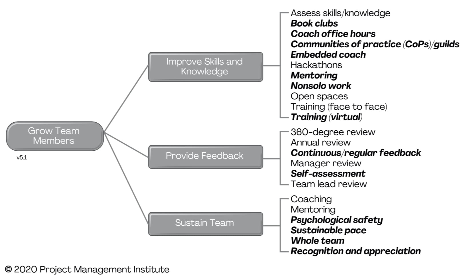 Grow Team Members – Disciplined Agile (DA)
