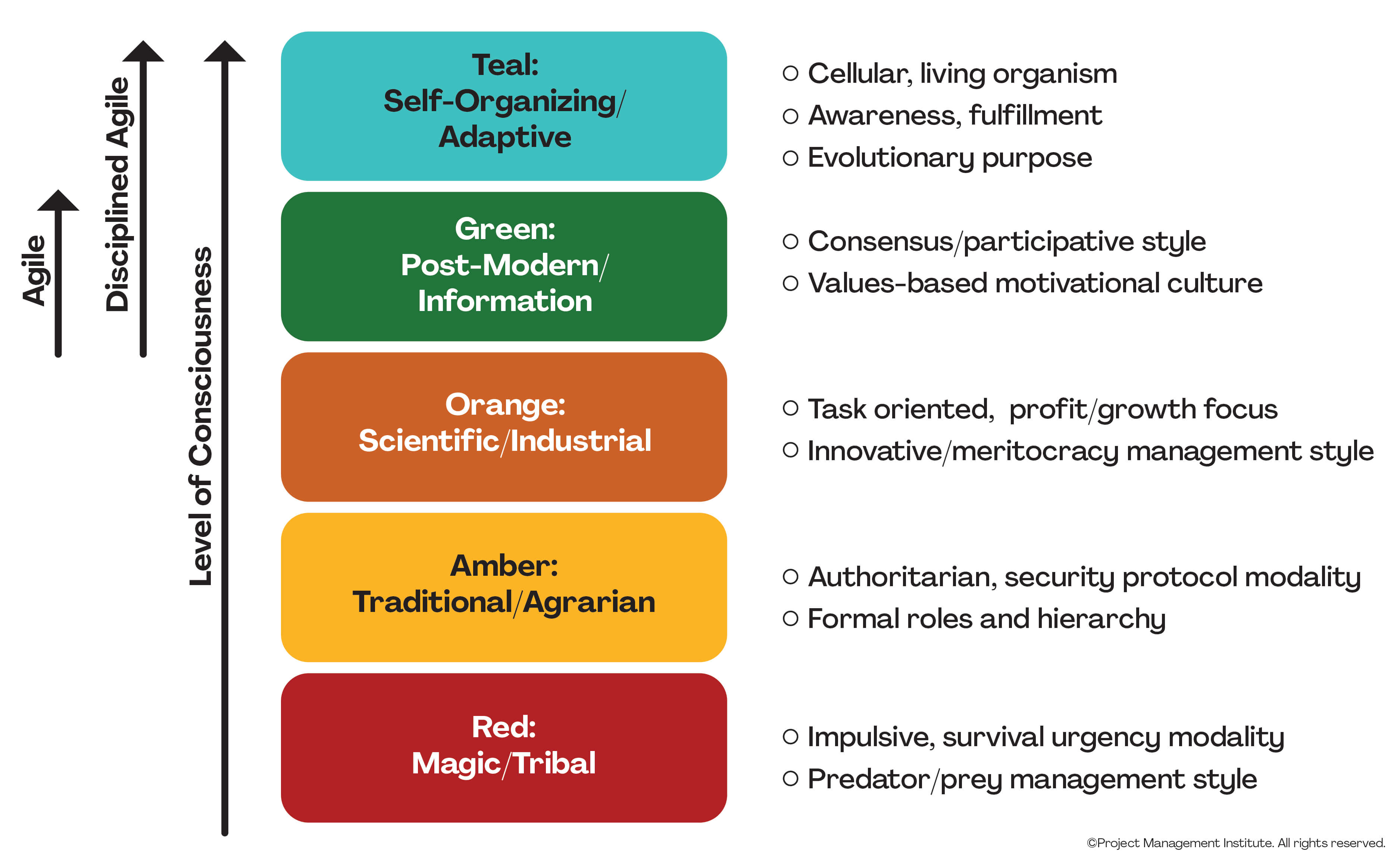Lalouxs Organizational Model