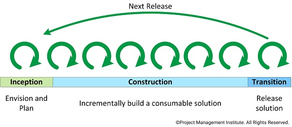 Lifecycle