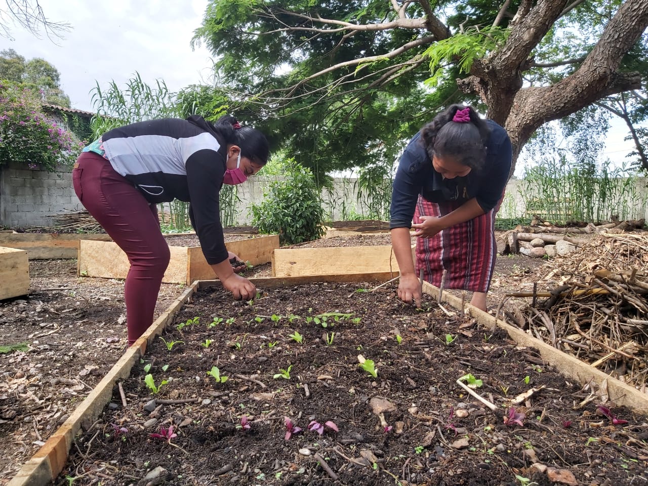Creating Resilient Communities: Women bent down working garden