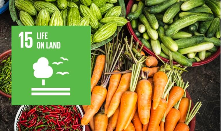 hours-for-impact-kerala-chapter-sarvam-vegetable-cultivation-life-on-land