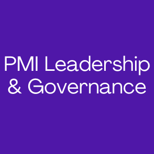 PMI Leadership Governance