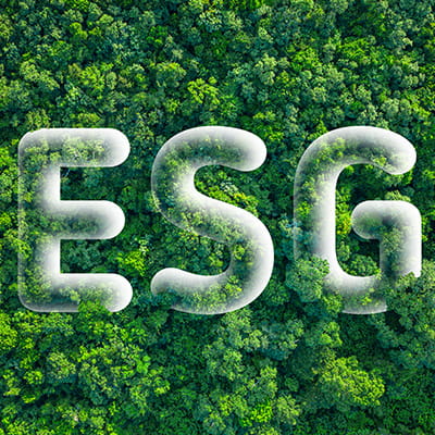 Image of letters ESG against a forest background