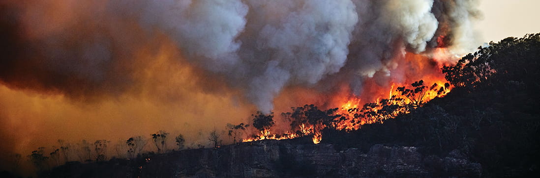 Megatrends 2021: Climate Crisis